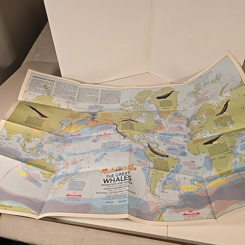 National Geographic Aug 79 Map Bird Migration In The‎ Americas & Whales Of World